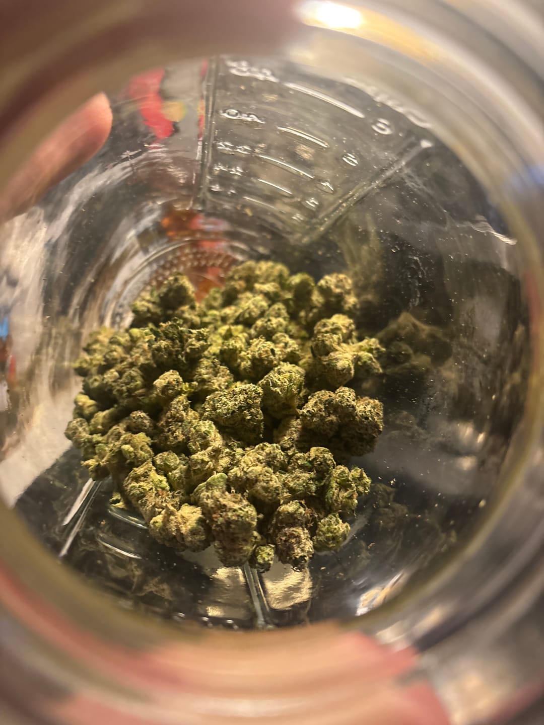 Customer photo review of Runtz THCA Flower (Budget)