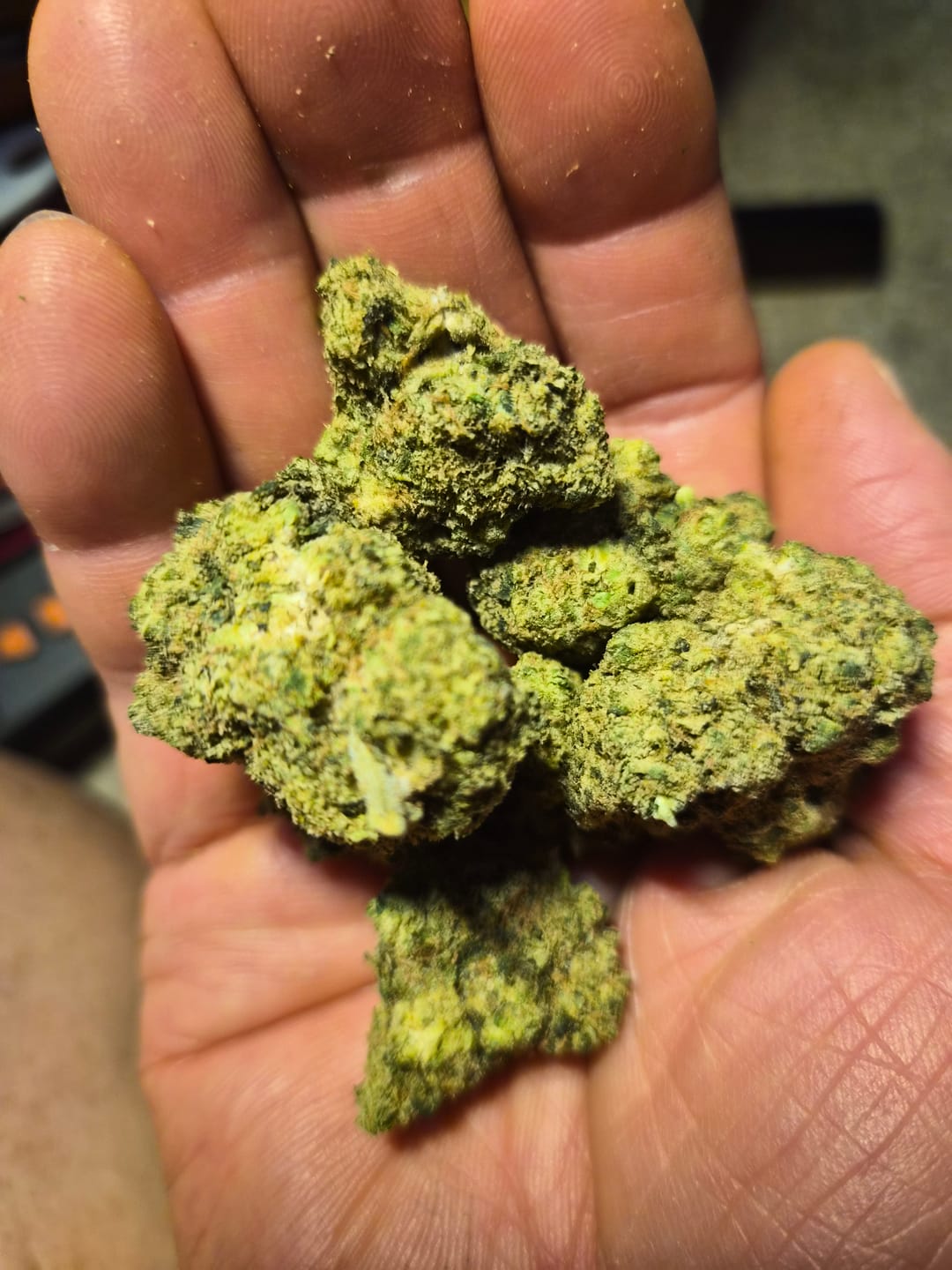 Customer photo review of King Louis XIII Indoor - Bulk - Indica