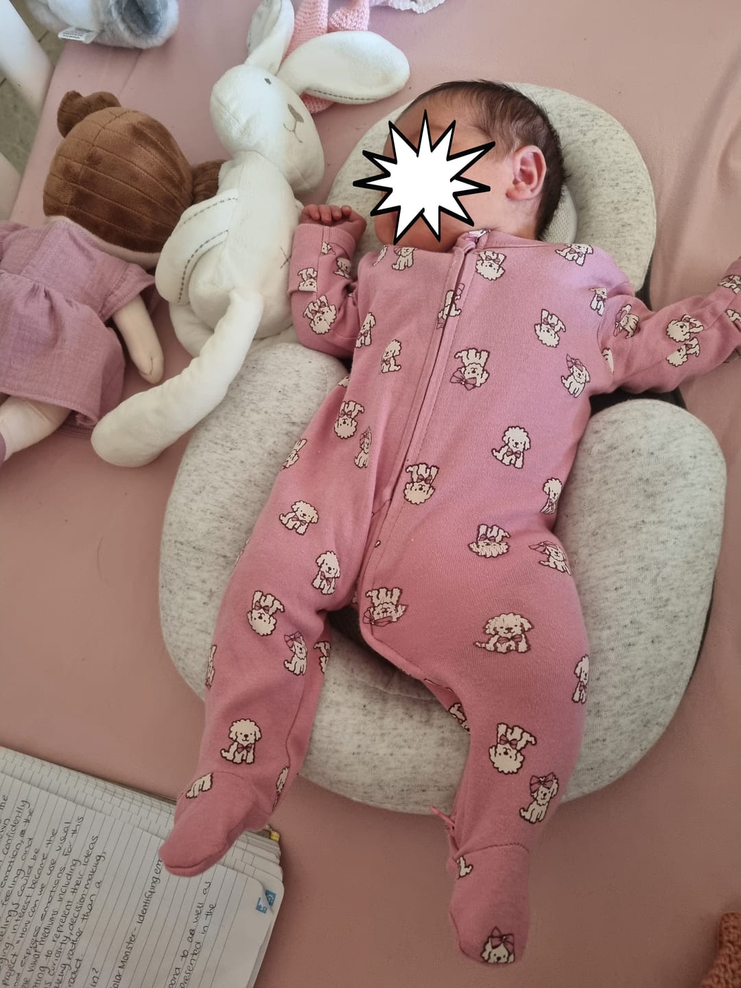 Customer photo review of Baby Bed Pal (+ FREE CHANGING PAL)