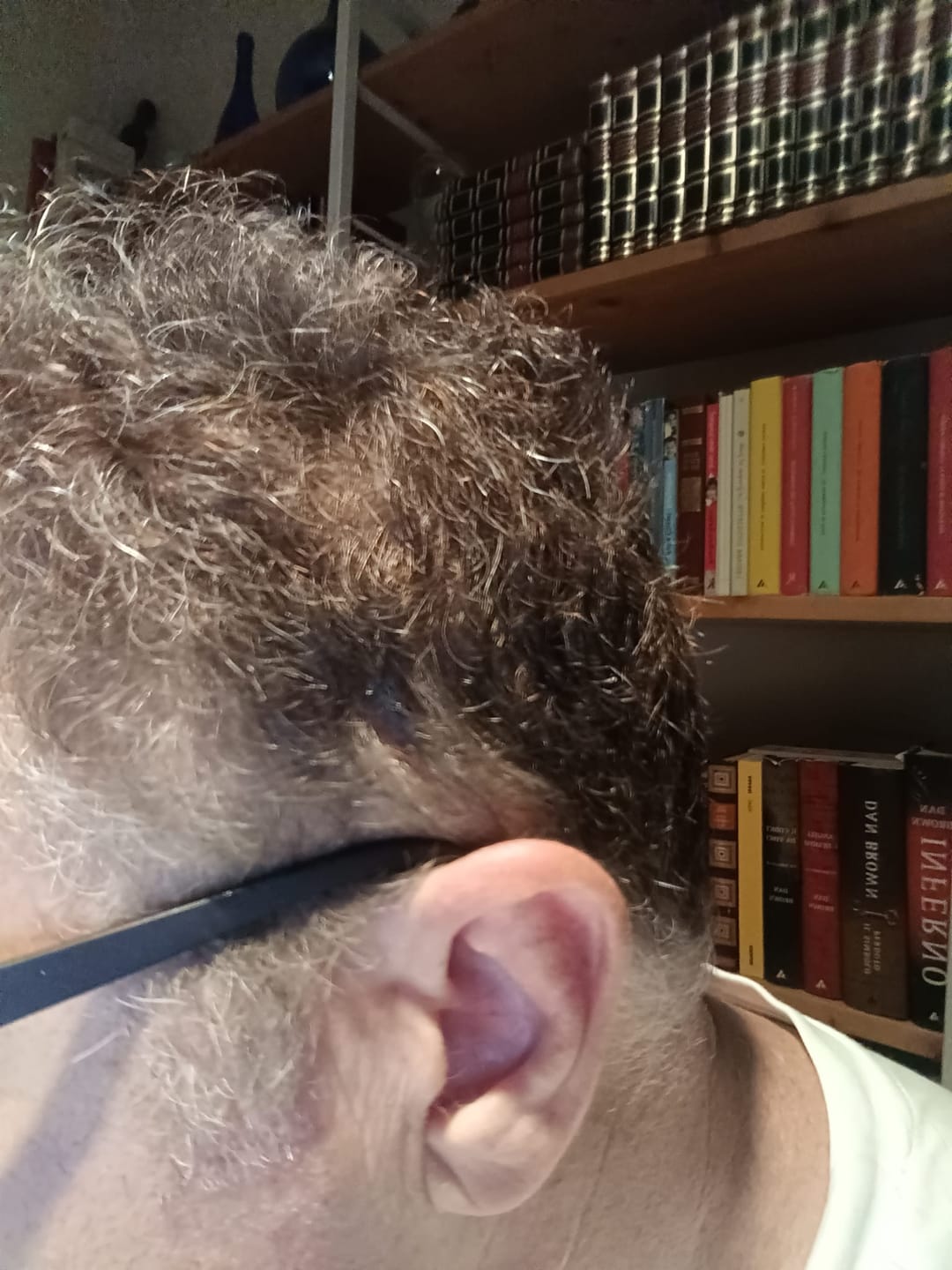 Customer photo review of GR-7 PRO