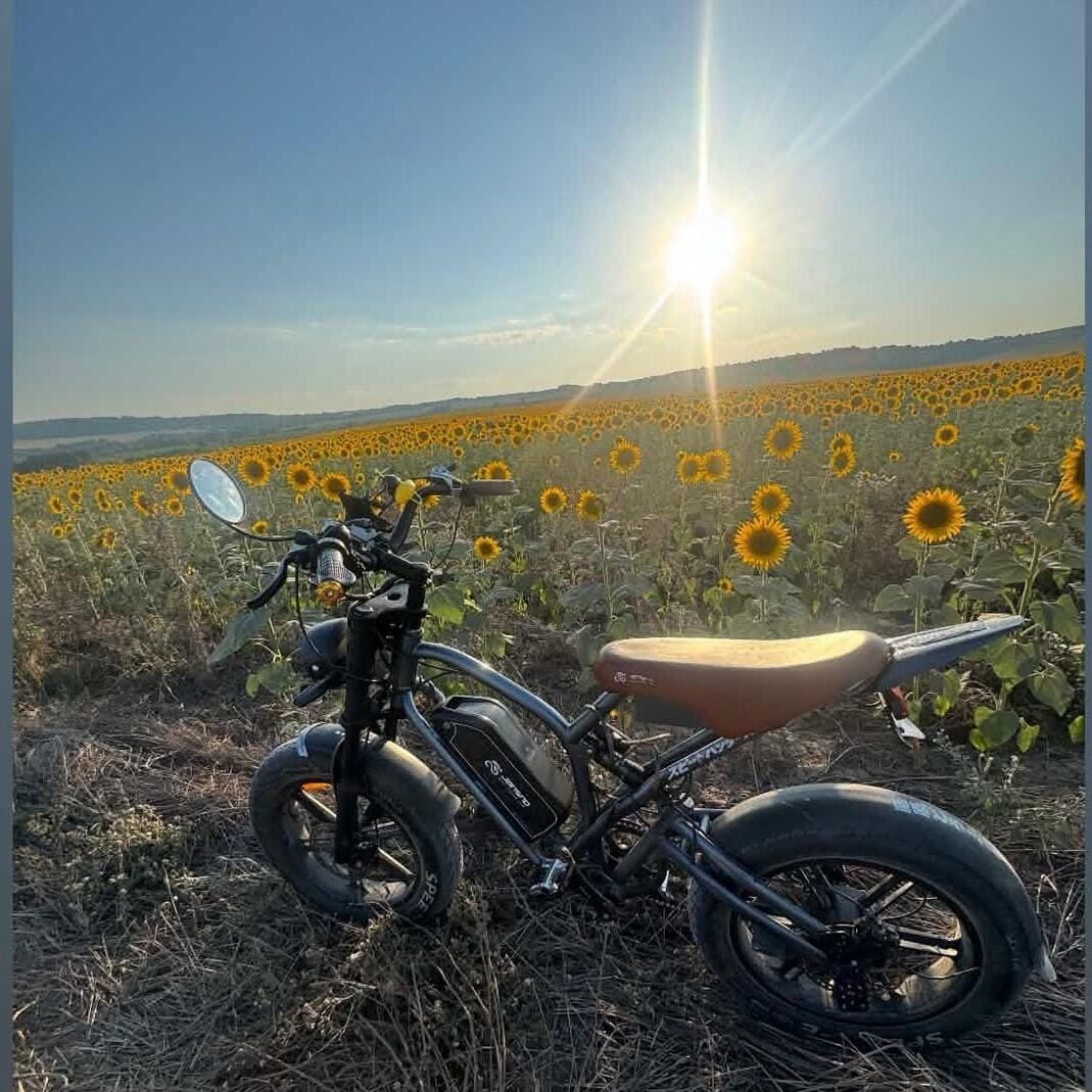 Customer photo review of JANSNO X50 Fat Tire Electric Bike