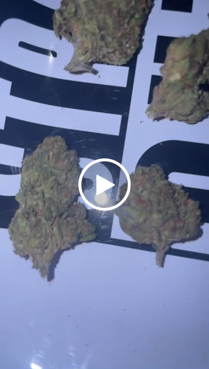 Customer video review of Blackout Berries THCA Flower Ounce (28g)