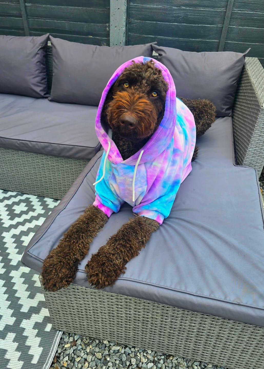 Customer photo review of Velvet Dog Hoodie - 90s Retro