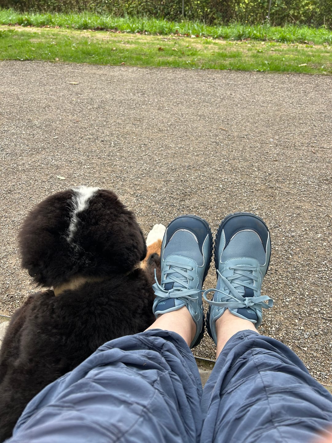 Customer photo review of Crest - Breitfußschuhe