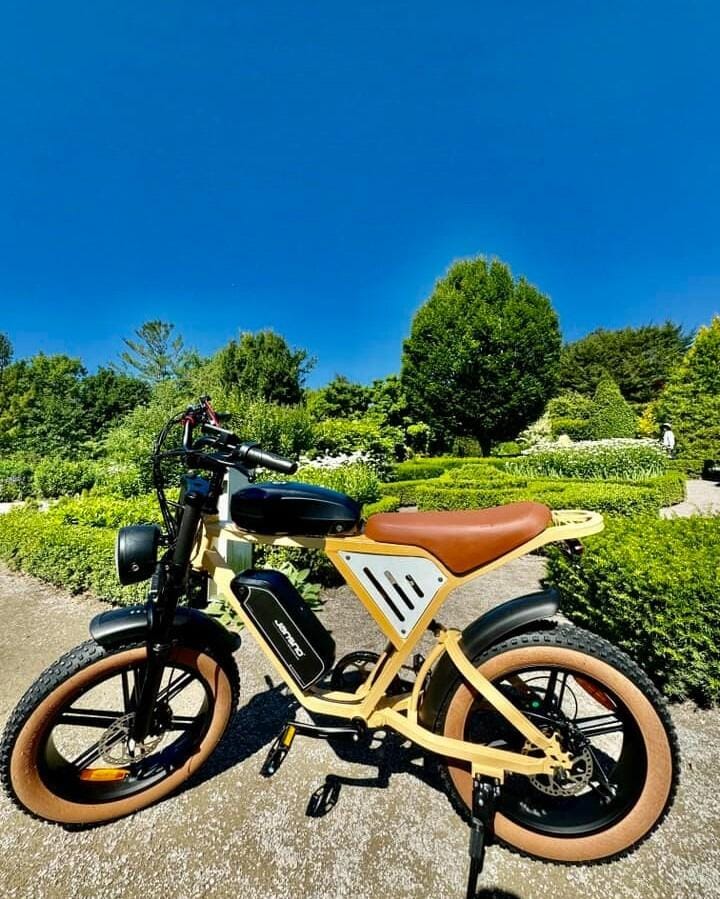 Customer photo review of JANSNO X70 Dual Battery Electric Bike