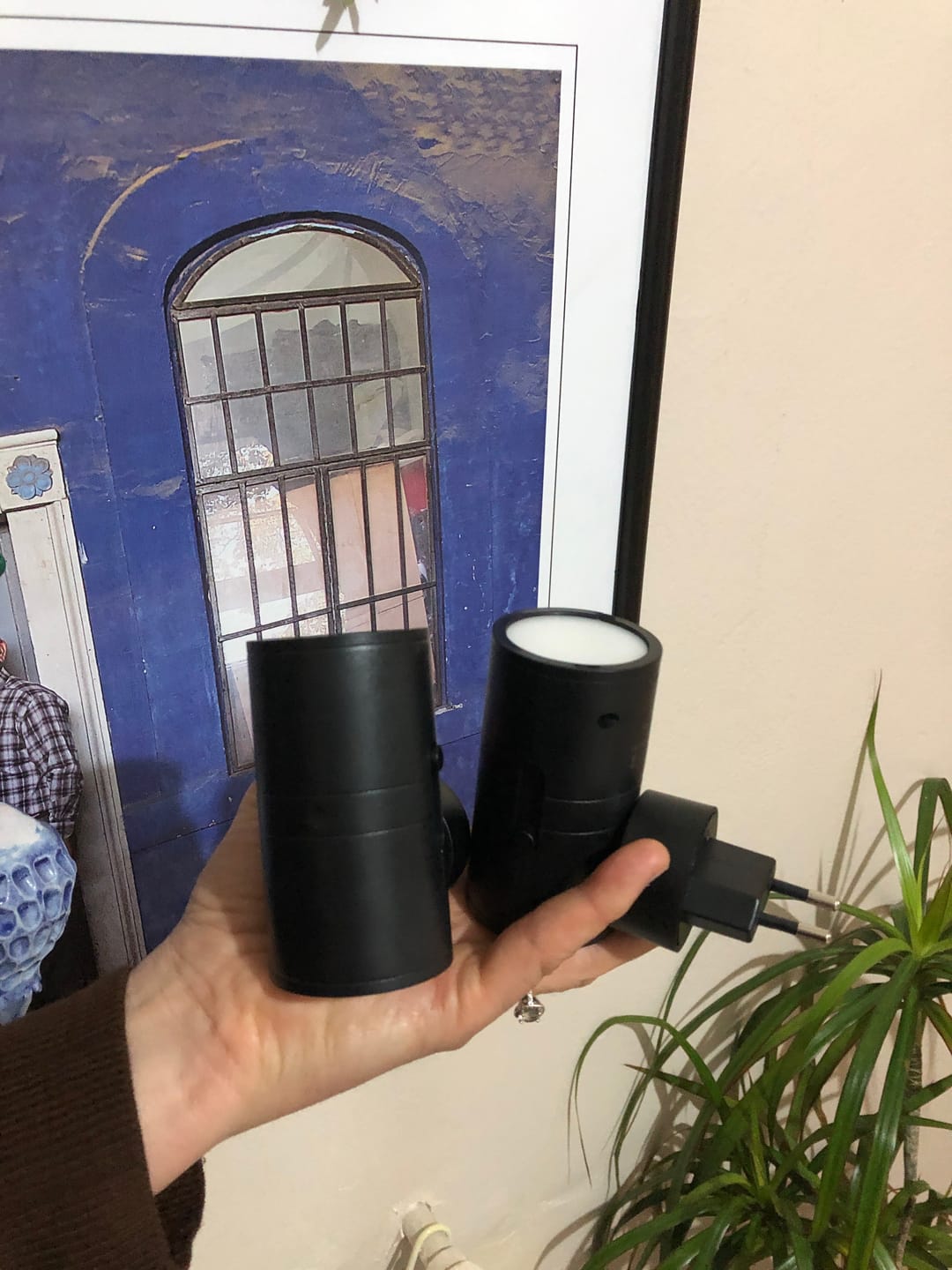 Customer photo review of AORALIGHT