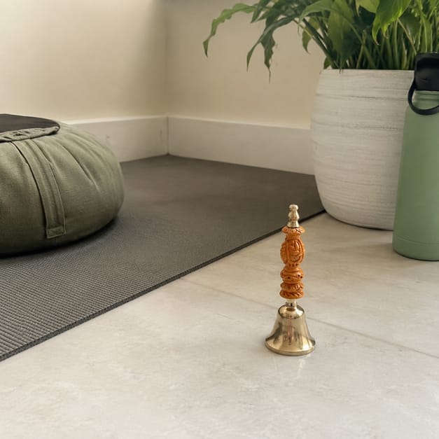 Customer photo review of Aura Suddhi Handcrafted Kansa (Bronze) Bell