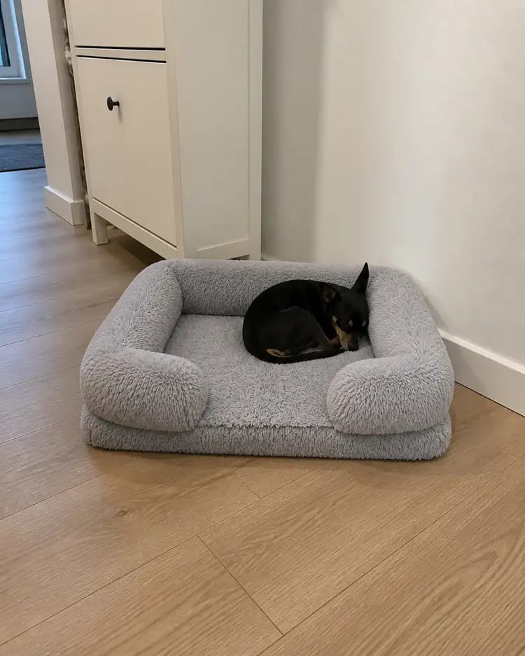 Customer photo review of ComfortCradle Orthopedic Dog Bed