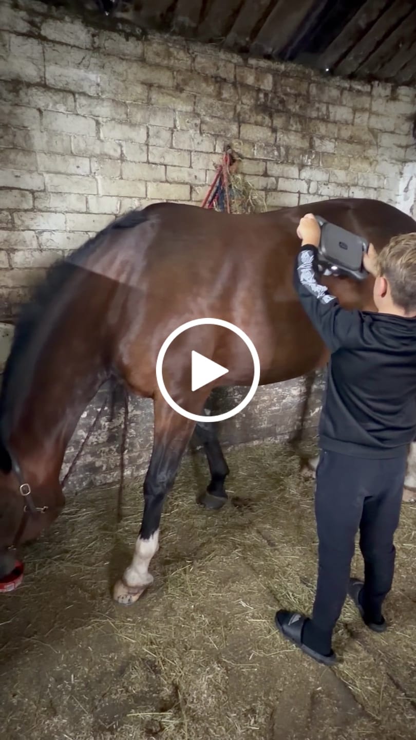 Customer video review of HorseHalo™ 8 Heads Red Light Massage Gun