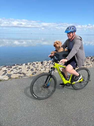 Customer's Kvisp Dog Bike Carrier mounted on a bicycle, featuring a fluffy dog enjoying a coastal bike ride.