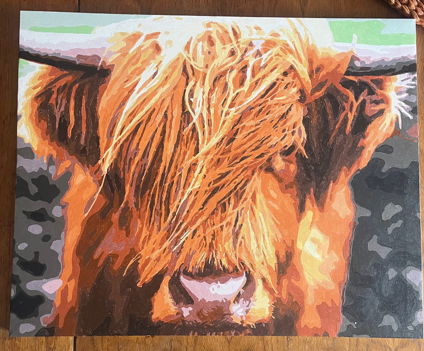 Customer photo review of Scottish Highland Cattle | Paint by numbers