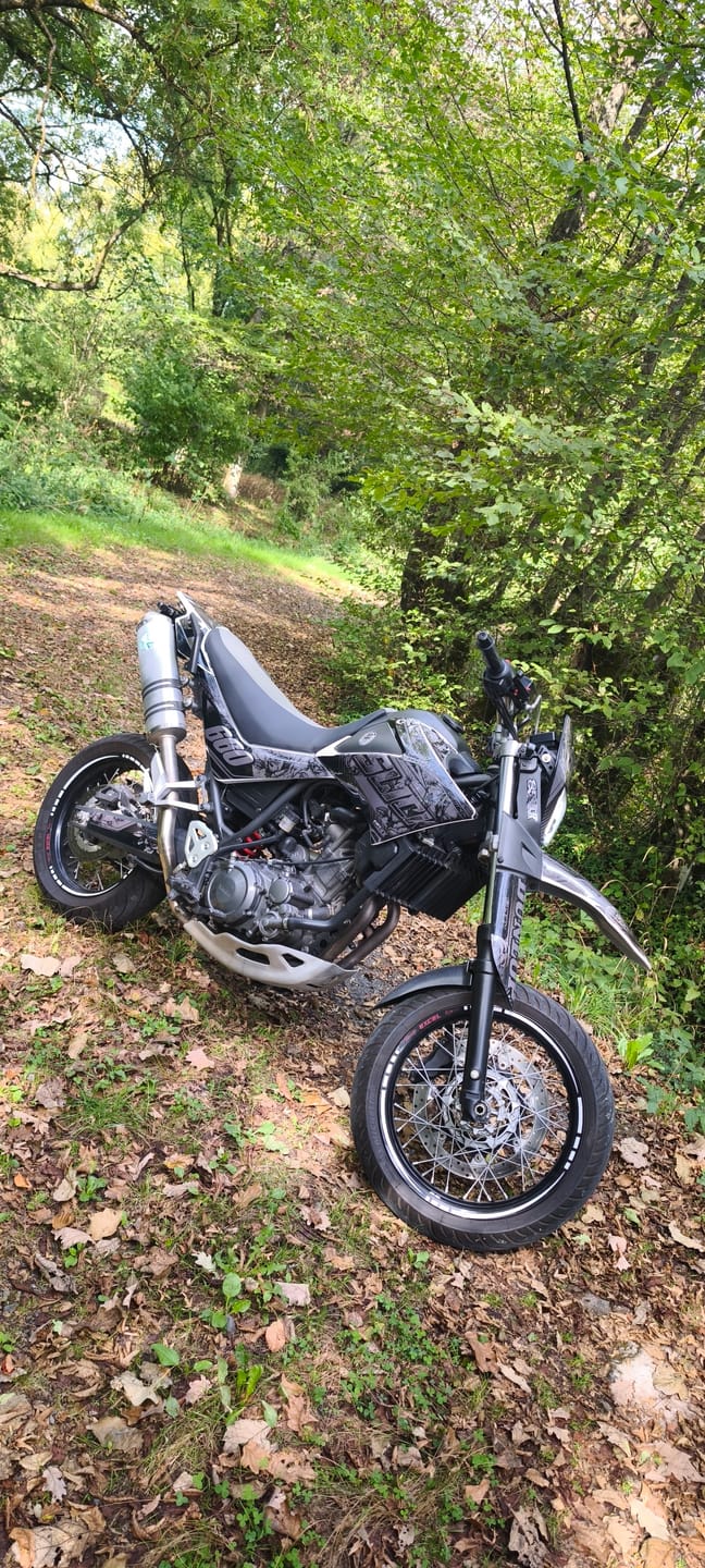 Customer photo review of NEW! OBSIDIAN FLOWER - GRAPHICS KIT