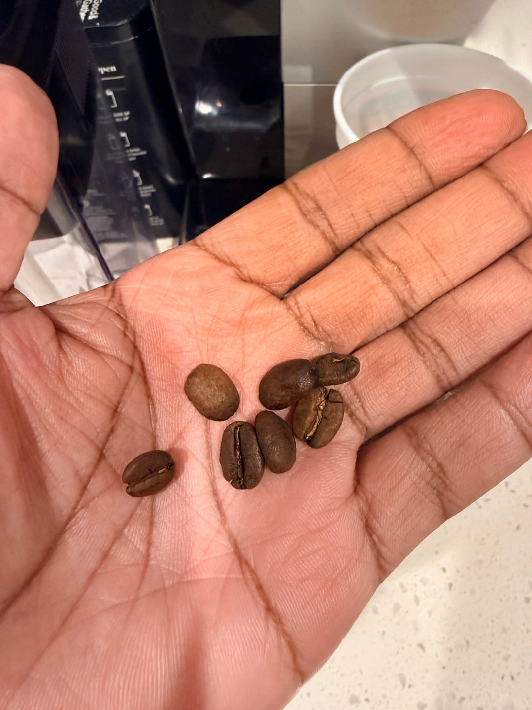 Customer photo review of Plantation Blue 100% Jamaica Blue Mountain Premium Coffee (16 oz - medium roasted whole beans)