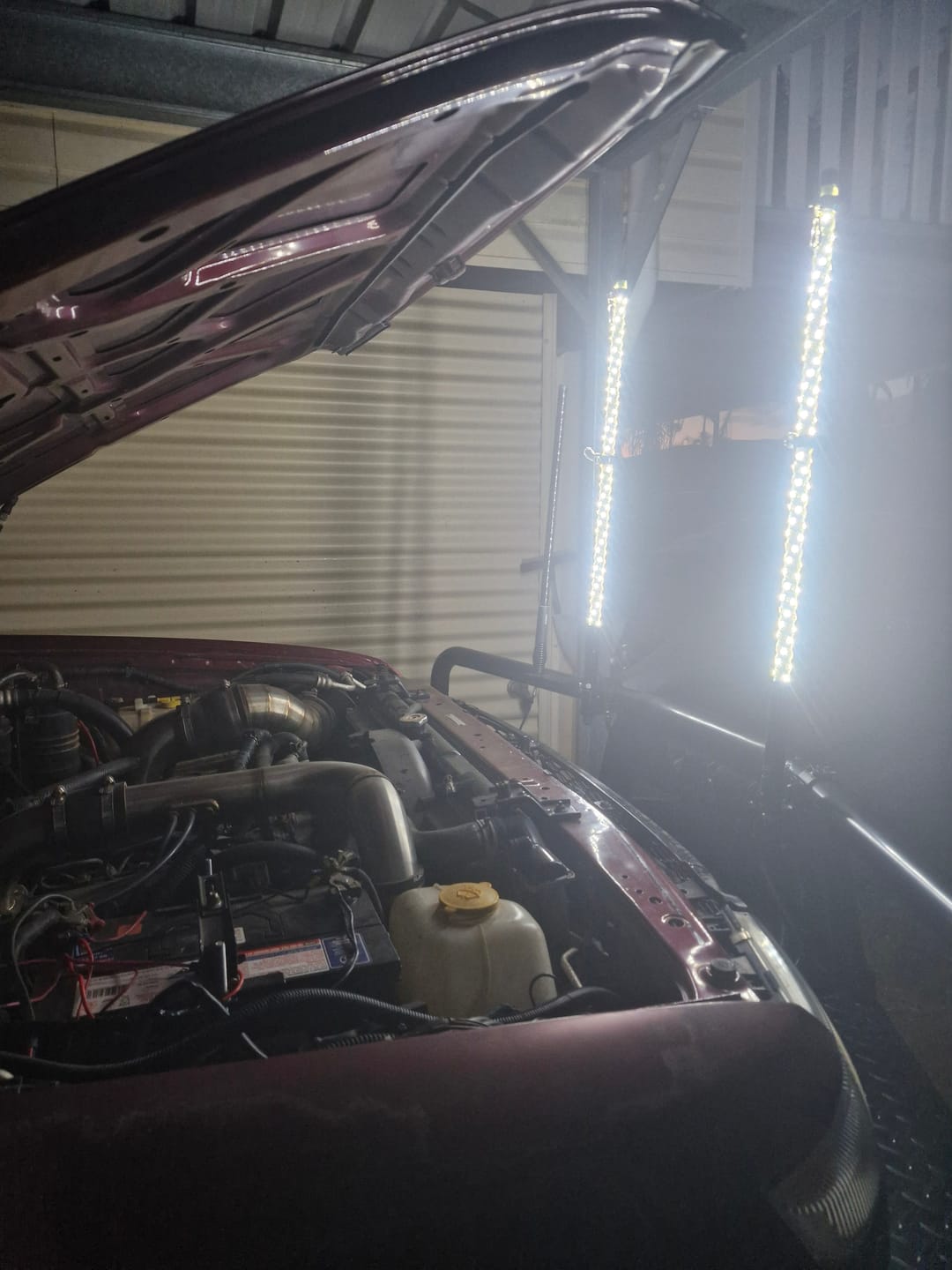 Customer photo review of 3ft LED Whip Lights