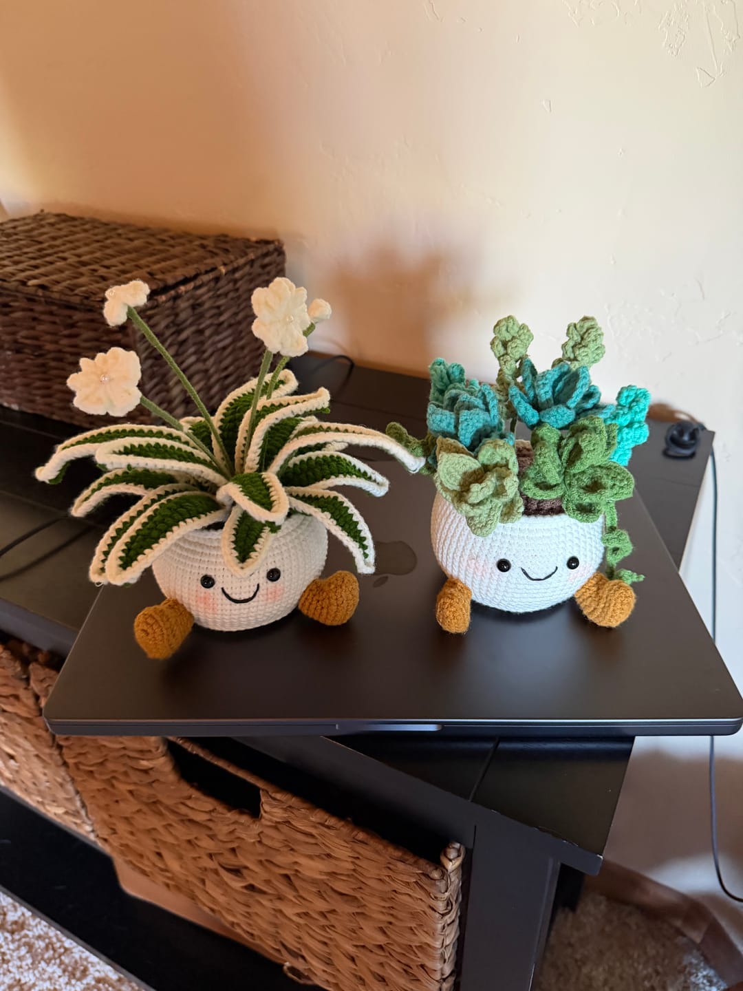 Customer photo review of Handmade Crochet Plant in Cute Pot – Crochet Flowers, Desk Decor, Mother’s Day, Birthday, Friendship & Anniversary Gift