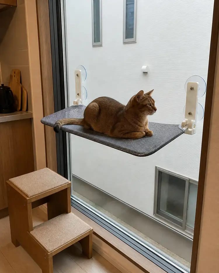 Customer photo review of Secure & Stylish Cat Window Perch Hammock