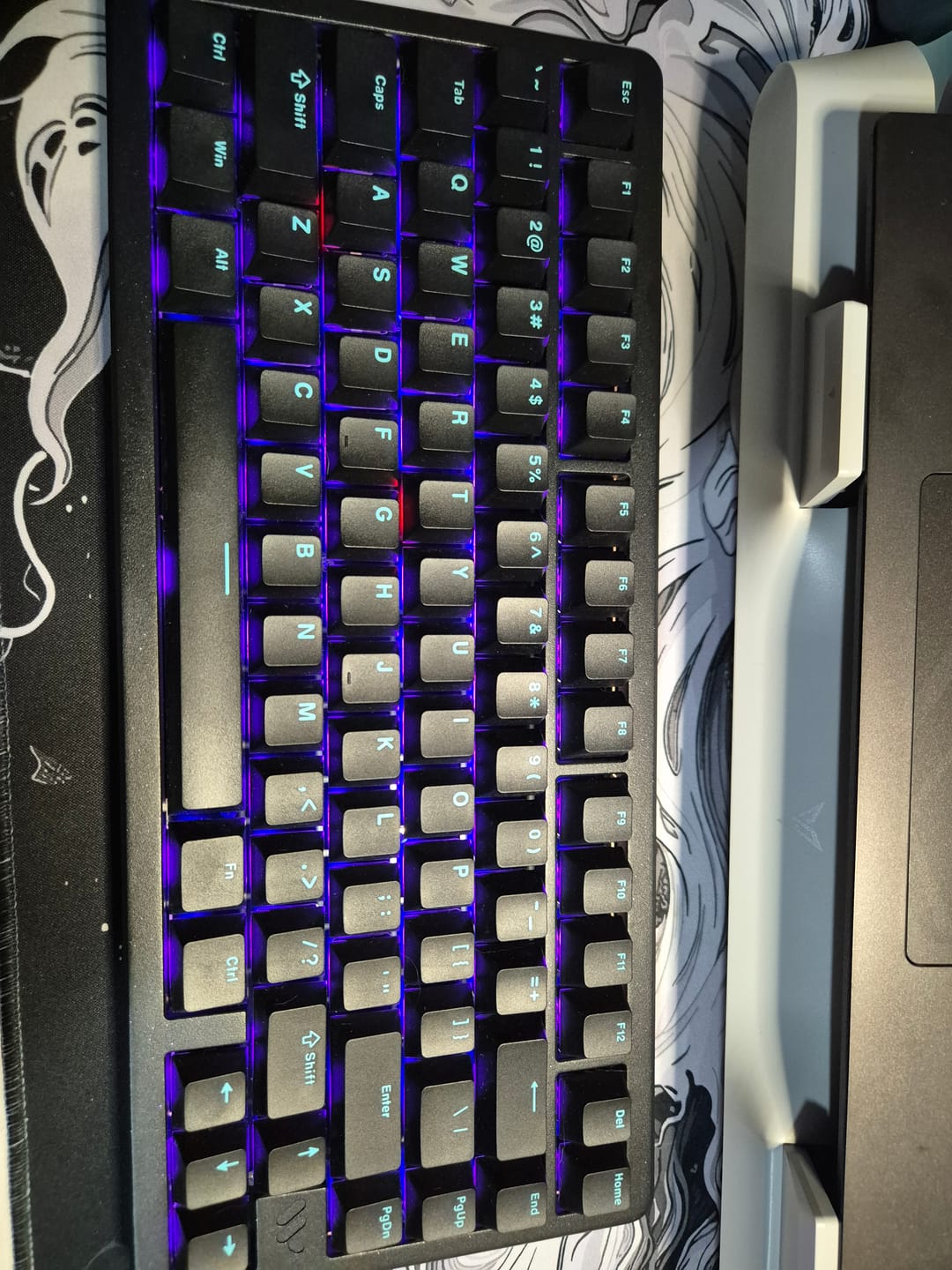 Customer photo review of Womier SK75 TMR Alüminyum Klavye (Manyetik Switch / HE)