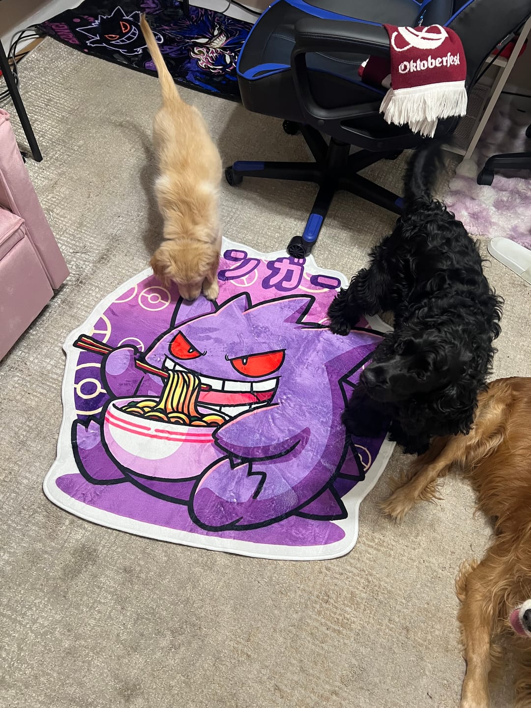 Customer photo review of Gengar Eating Noodles Rug