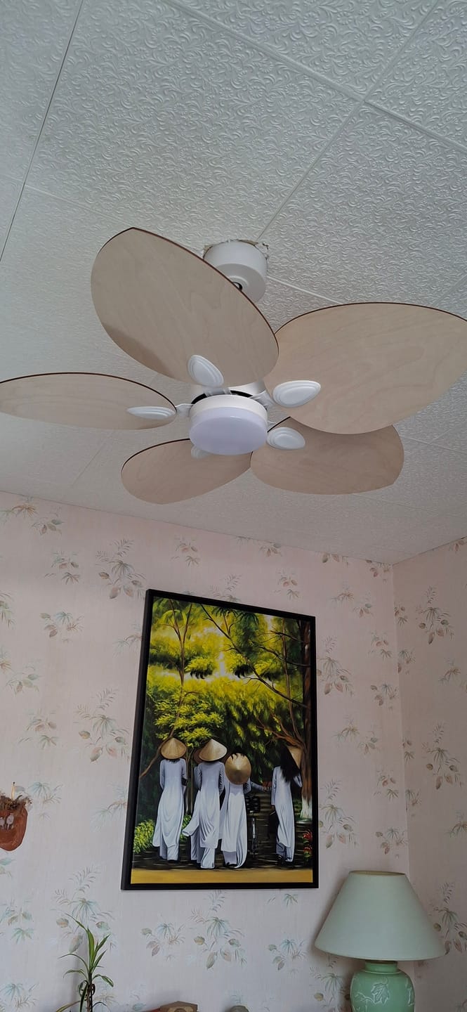 Customer photo review of Dahlia | Ventilateur de plafond