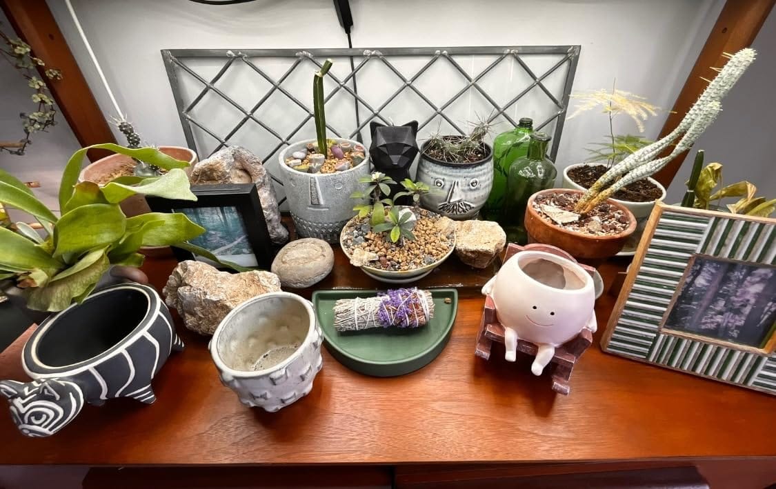 Customer photo review of Infinity™ Plant Pot