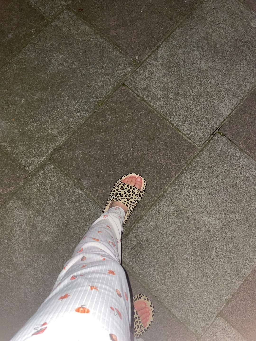 Customer photo review of HappyFlops Limited Editions