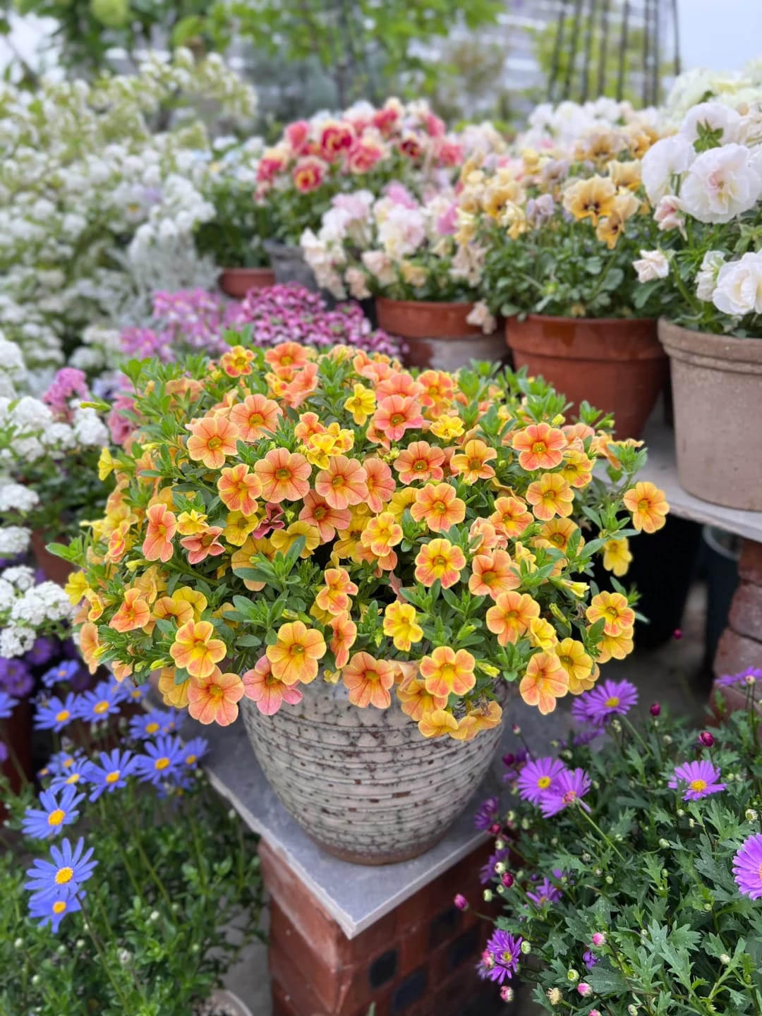 Customer photo review of FloraAcre Plantable Seed Calendar 2027