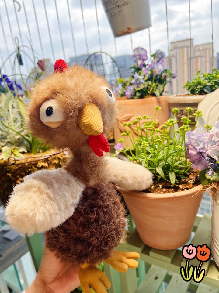 Customer photo review of Chicko Chicken