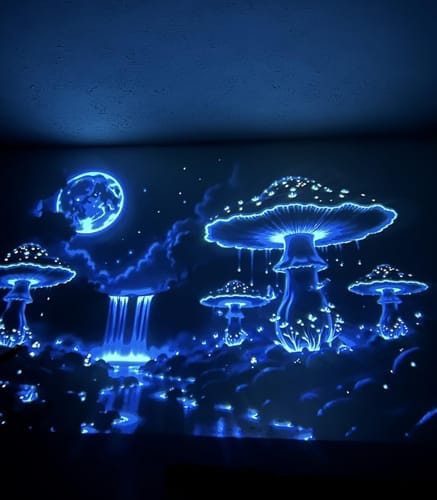 Customer photo review of WallCinema™ Pro – Portable Smart Projector with 4K Support