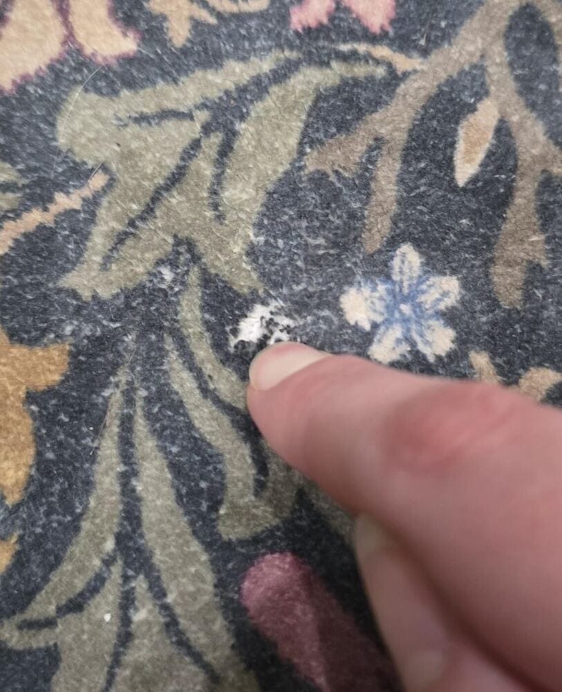 Customer photo review of Rug – Maximalism Vibrant Blossom Floral – Ink Black