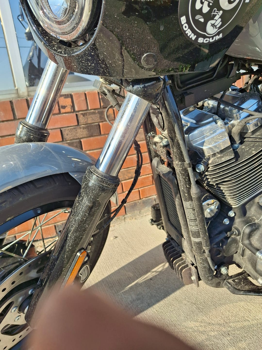 Customer photo review of DON'T BE A BITCH STICKER