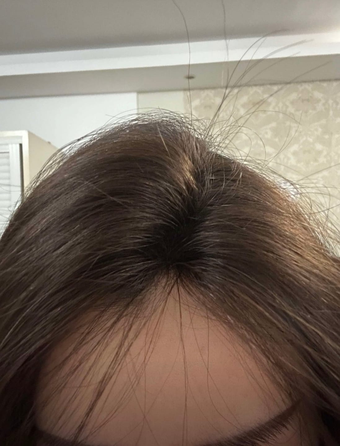 Customer photo review of Mini Hair Topper #6 Light Brown