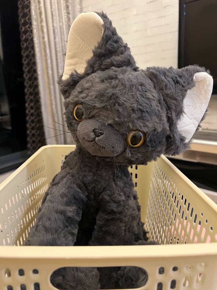 Customer photo review of Moka Cat