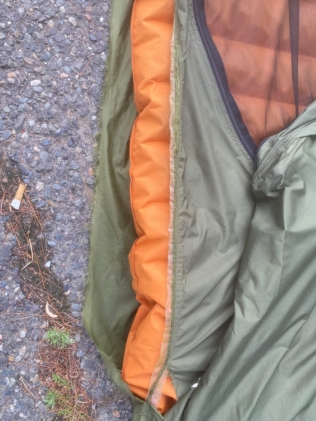 Customer photo review of Haven XL