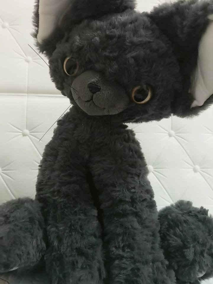 Customer photo review of Moka Cat