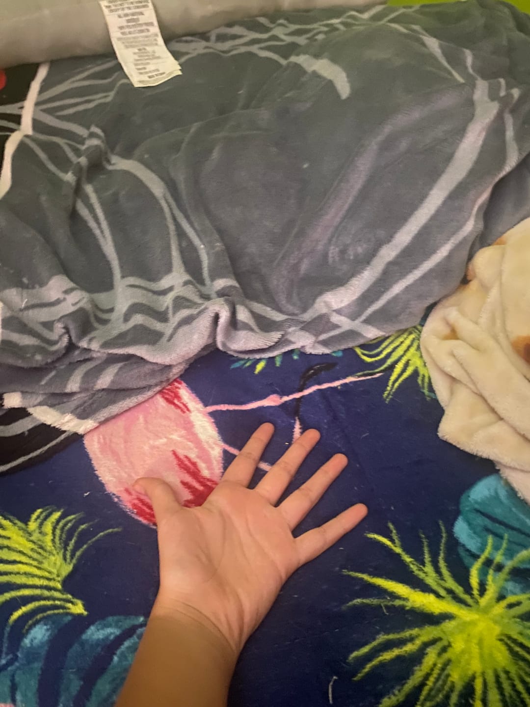 Customer photo review of Caine Plush