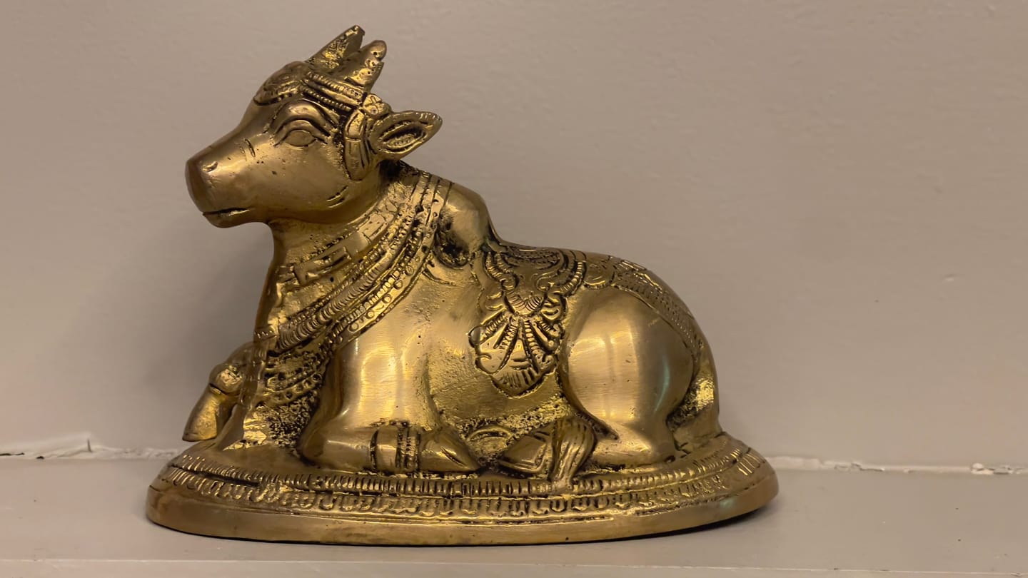 Customer photo review of Handcrafted Pure Brass Nandi Bull Vastu Remedy Idol for Business Stability and South-West Directional Alignment | 14 × 7.5 × 11 cm | 0.9 kg