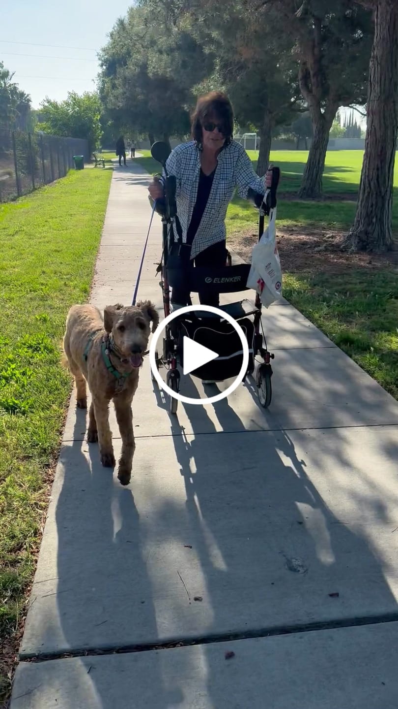 Customer video review of HFK-9240-2 All Terrain Dual-Brake Upright Walker with Seat and 12" wheels