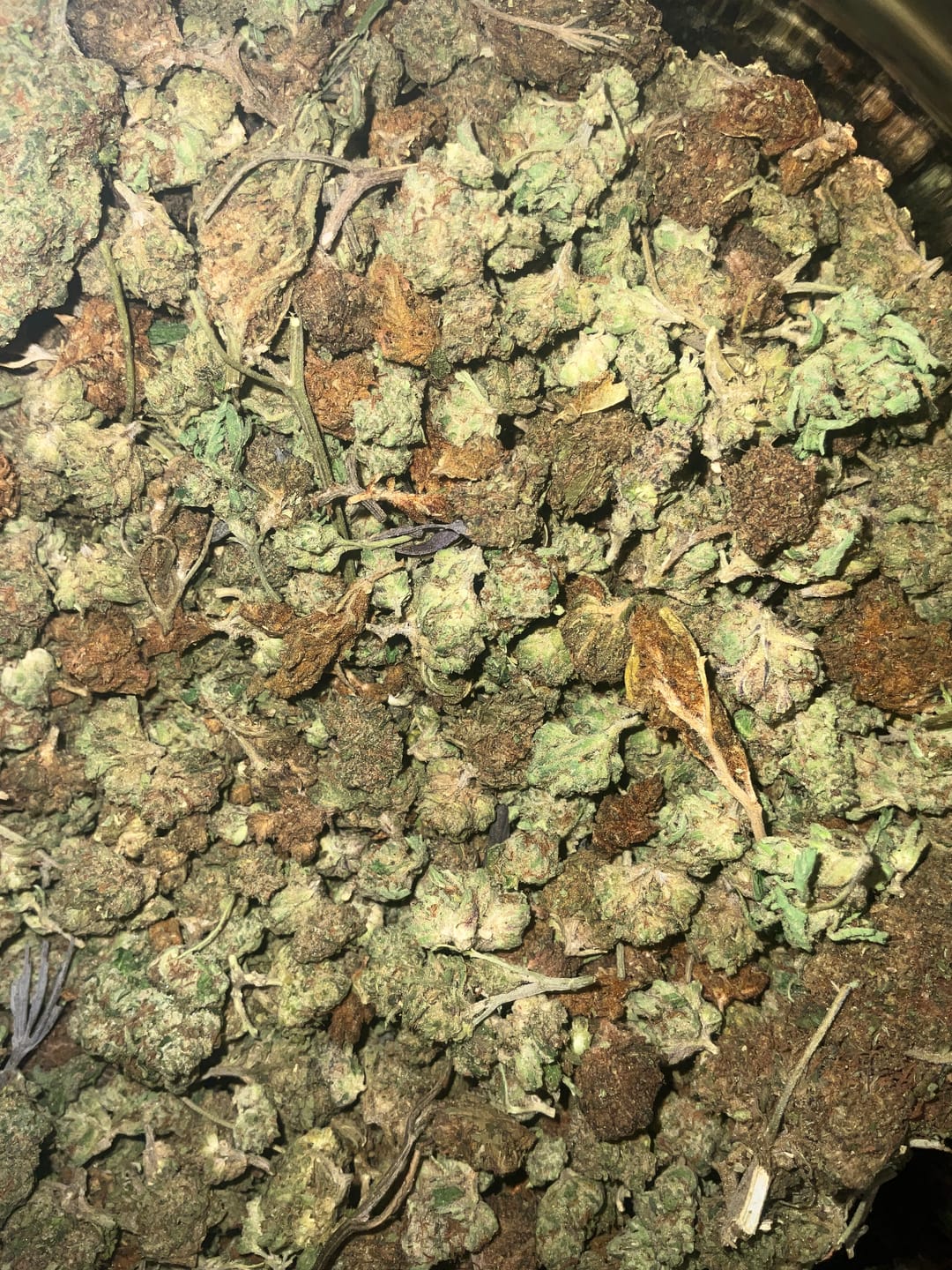Customer photo review of Dank Work THCA Trim