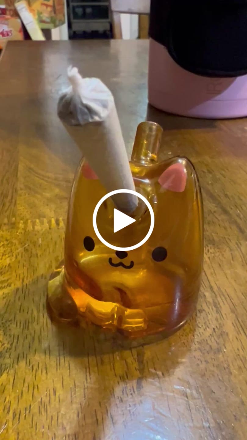 Customer video review of CAT JOINT BUBBLER