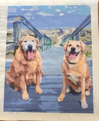 Customer photo review of Kit Personalizado de Pintura por Números