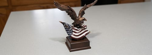 Customer photo review of Hand-Cast American Eagle Statue