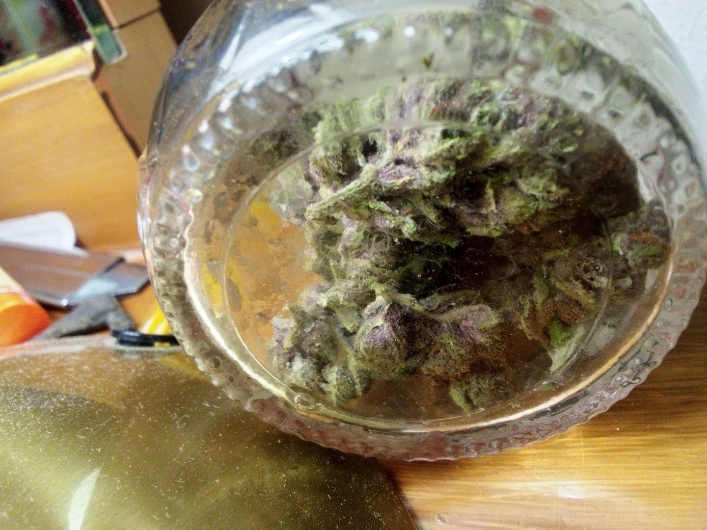 Customer photo review of Tropicana Cherry THCA Flower