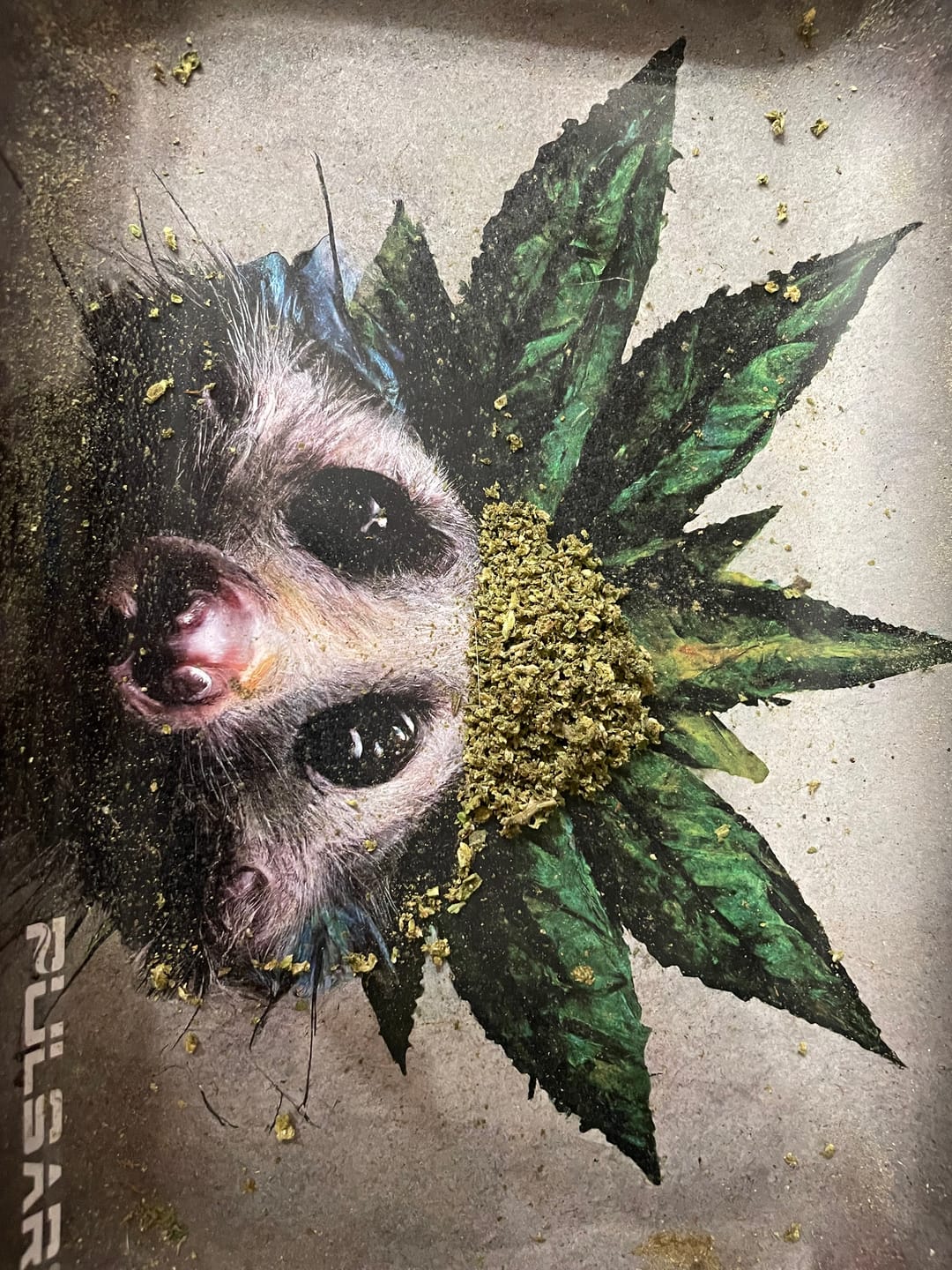 Customer photo review of Bubba OG - 28 Grams - Indica