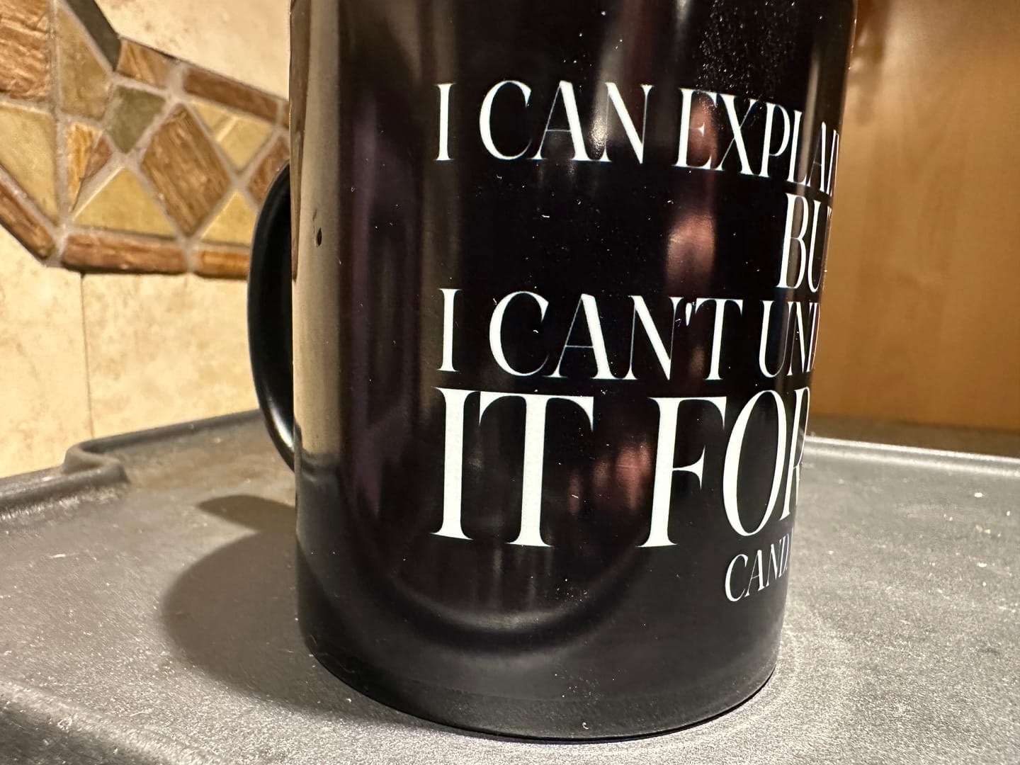 Customer photo review of "I can explain it to you, but I cant understand it for you"  Mug