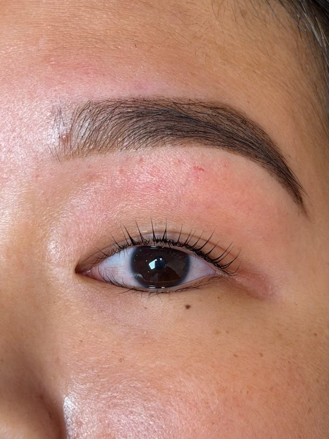 Customer photo review of Pure Care Lash & Brow Lift Pack