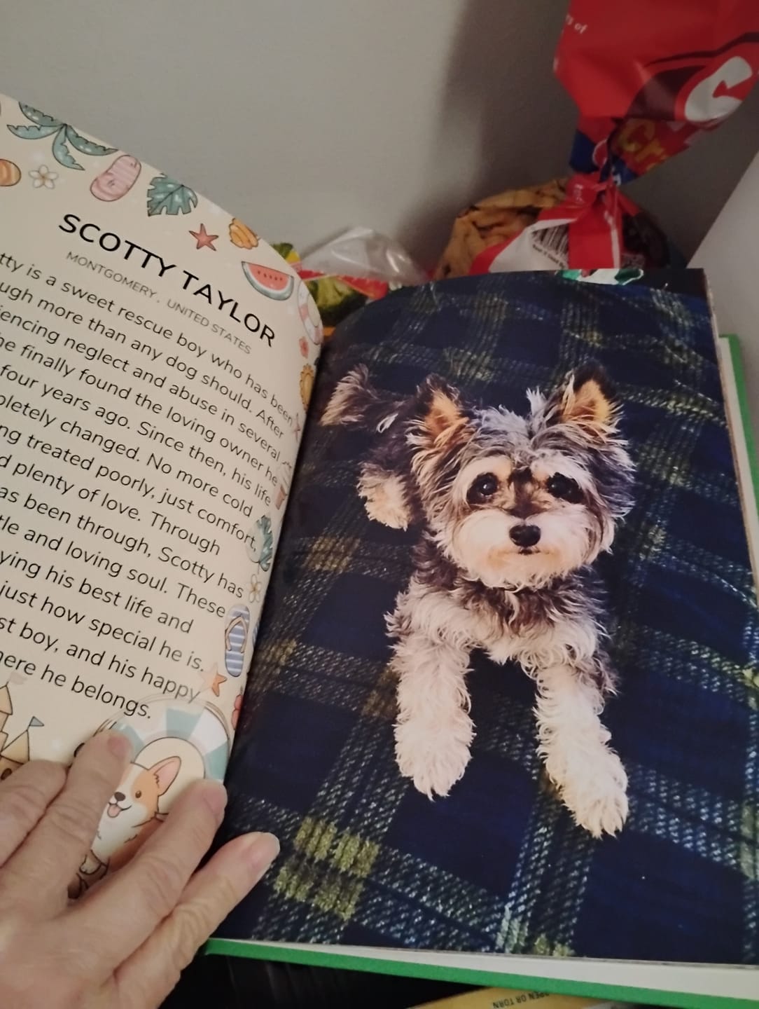 Customer photo review of Cutest Pets of Pupvote Summer 2026