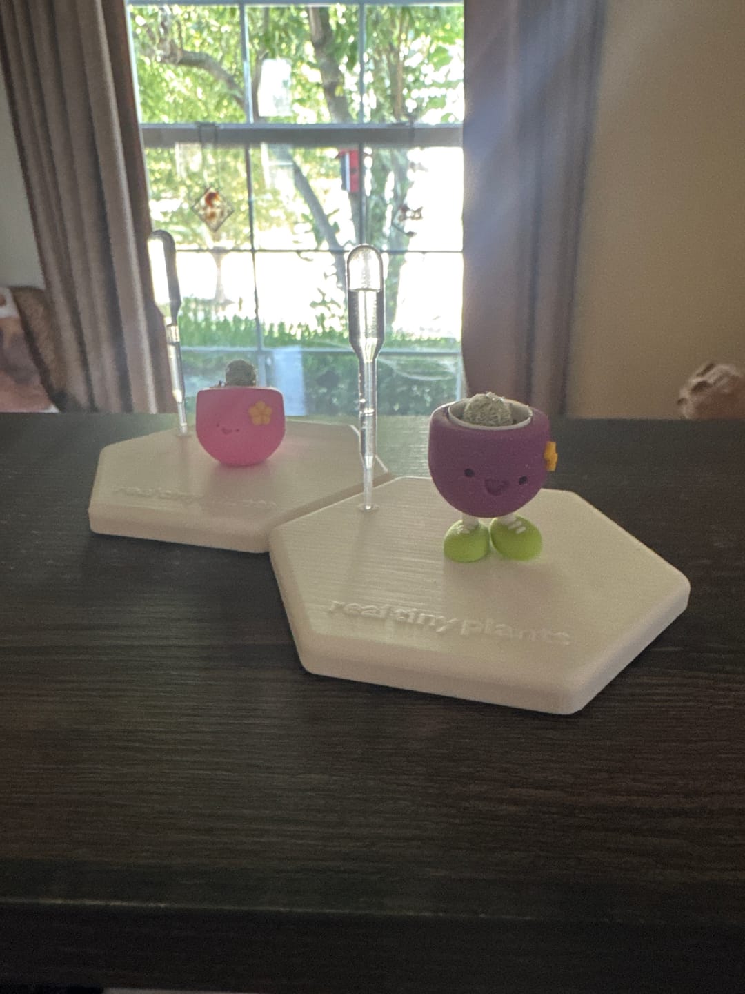 Customer photo review of Flower Power