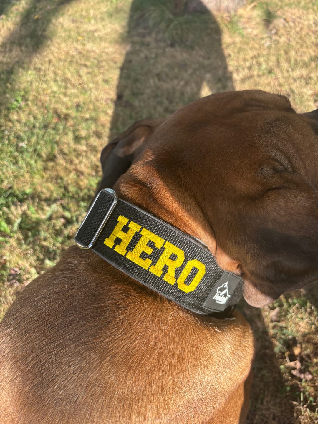 Customer photo review of Extreme Buckle med namn