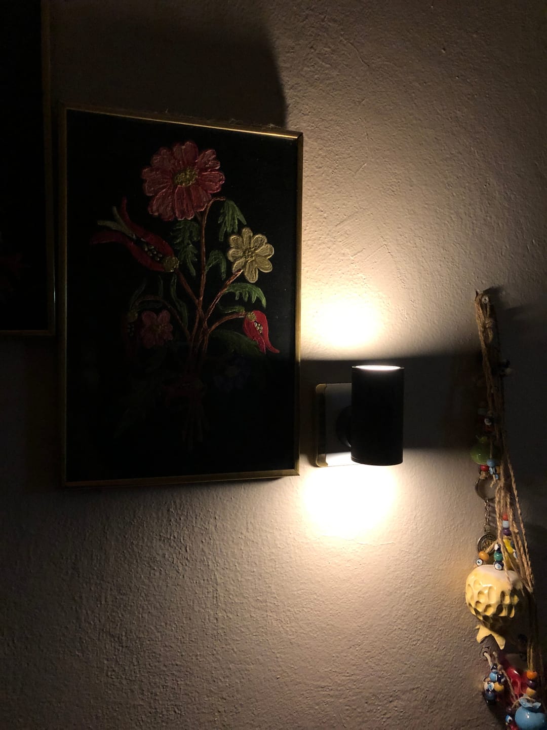 Customer photo review of AORALIGHT