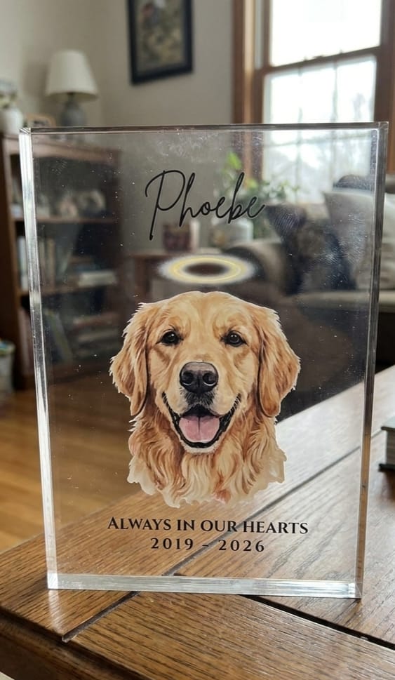 Customer photo review of The Eternal Tribute